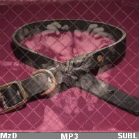 MzDominica - File Descriptions/MzDominica - File Descriptions/Collar of Control 1.jpg